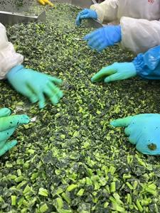 Vegetales Congelados de Alta Calidad en Oferta, Certificados por HACCP y BRC, Espinacas Congeladas IQF Cortadas - Product Image 5