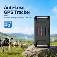 Traceur GPS 4G étanche IP67, batterie 20000 mAh, autonomie 1 an, stockage cloud pour bétail, chevaux, chameaux, animaux de compagnie, positionnement Beidou