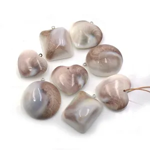 Raw Natural Shiva Eye Shell Pearl Operculum Pendant Wholesale Lot Gemstone Hawaii Seashells Sea Shell Eye Shells