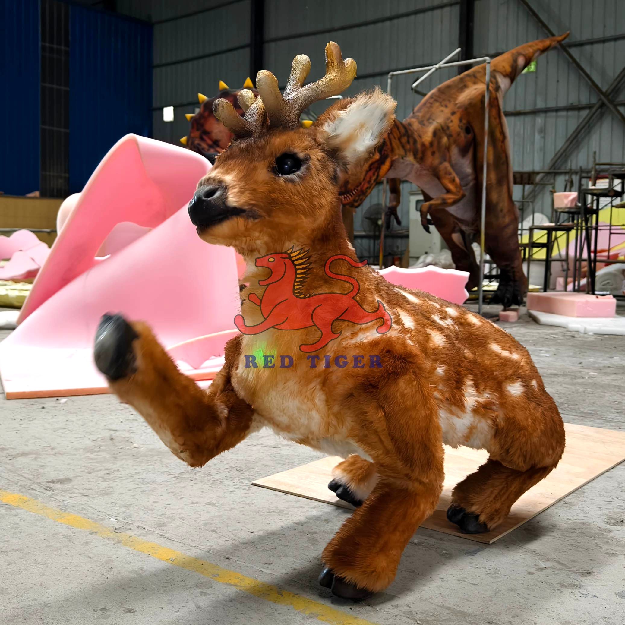 Animal Meeting Videos High Quality Durable Solutions