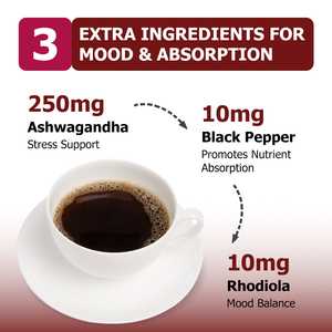 OEM ODM Mushroom Powder with Mushroom Fruiting Body Extract Blend Support Immunity Brain Focus Energy Extra Ingredients for Mood - Product Image 3