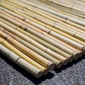 装飾と建設のためのモソ竹杖 - Product Image 6