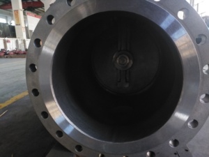 Válvula de Retención de Giro DOMOS API6D, 20 Pulgadas, 150lb, Cuerpo de Acero al Carbono, Trim No.1 en Stock, Sin Pintar, Válvulas de Control - Product Image 3