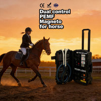 Machine PEMF à double commande, best-seller pour chevaux, pour détendre les muscles raides et améliorer le confort physique