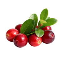 Arôme liquide de canneberge de qualité alimentaire à bas prix pour la fabrication de biscuits, de gâteaux, de sucettes glacées aux fruits, de crèmes glacées, arôme de canneberge