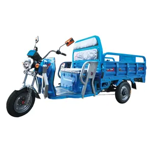 厂家直销货物电动三轮车电池操作装载机E-Trike带阳顶三轮电动三轮车