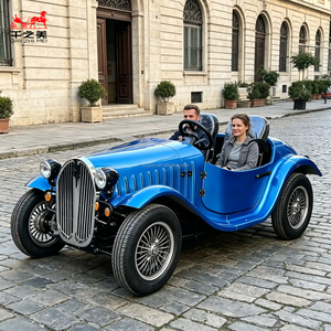 Vendita Diretta dalla Fabbrica: Auto Elettrica Classica a 2 Posti e 4 Ruote, Stile Vintage Retrò, Golf Cart Personalizzabile nel Colore, Auto Elettrica Vintage - Product Image 2