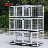 Cage d'élevage en fil métallique la plus vendue chat avec roues