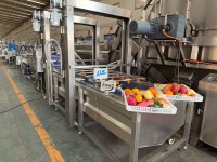 Fruit- en groentewasmachine - 380V 2,5kW Grote capaciteit & eenvoudige bediening