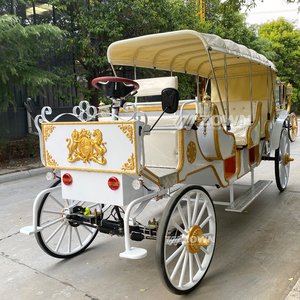 Carroza de Caballos Turística Eléctrica Blanca de 3 Filas al Mejor Precio, Carroza de Caballos para Turismo en Venta - Product Image 5