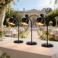 Lampe chauffante électrique noire pour aliments, chauffe-plat individuel pour frites, cafétéria, buffet, réceptions