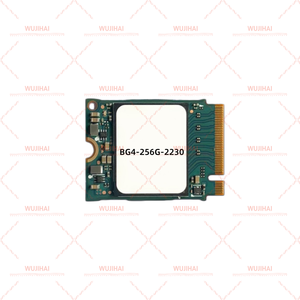 Disque SSD M.2 pour Ordinateur Portable et de Bureau BG4-256G-2230 - Product Image 3