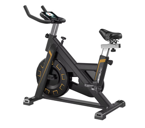 En STOCK pour vélo pliable, cadre en fer, résistance à contact direct, équipement de gym à domicile, <span class=keywords><strong>cardio</strong></span>-training silencieux - Product Image 3