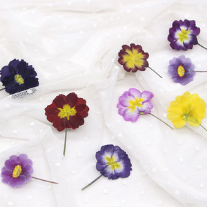Fiori di <span class=keywords><strong>Primula</strong></span> Essiccati Naturali per Artigianato Fai-da-Te, Creazione di Biglietti, Gioielli in Resina, Decorazioni per Scrapbook, Vendita all'Ingrosso - Product Image 3