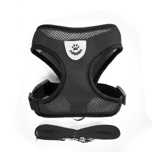 Set Pettorina e Guinzaglio per Gatti e Cuccioli in Rete Traspirante, Anti-Rompimento, a Basso Prezzo, Disponibile - Product Image 6