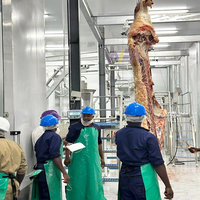 Ligne d'abattage de bovins entièrement automatique et halal, équipement complet pour abattoir de bovins, projet clé en main