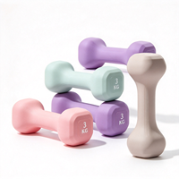 Haltères hexagonaux Macaron pour l'aérobic en intérieur, équipement de fitness pour femmes débutantes, perte de graisse, mise en forme, entraînement de force, petits haltères