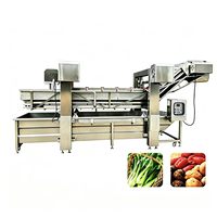 Goede prestatie verse fruit mango appel reinigingsmachine luchtbel groentewasmachine productielijn
