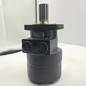 Motor Hidráulico de Servicio Pesado TE0080AP100AAAA Serie TE, Motor de Accionamiento Rotatorio de Alta Capacidad de Carga Lateral - Product Image 2