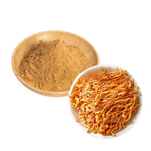 Yüksek kaliteli cordyceps militaris özü tozu 0.<span class=keywords><strong>3</strong></span>% 1% <span class=keywords><strong>3</strong></span>% cordycepin cordyceps sinensis özü cordyceps militaris özü - Product Image 5