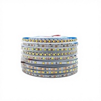 Bande lumineuse LED de jardin RGB 12V IP20 en PVC avec contrôle WiFi, certifiée RoHS, installation facile et intensité réglable