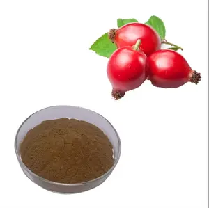 High Quality Rose Hips Extract Rose Fruit Extract Powder for sale