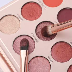 Set de Brochas de Maquillaje Profesional para Rostro, 10 Piezas, Brochas Sintéticas Premium para Base, Polvo, Corrector, Sombras de Ojos, Rubor, Viaje - Product Image 3