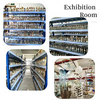 Coquillages naturels mélangés en vrac, vente en gros, multiples variétés, coquilles de conques pour aquarium, décoration intérieure, artisanat DIY, marque JS, origine Hebei