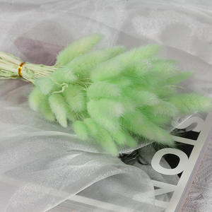 G46 Home decorations DIY Bouquet 60pcs Wedding <span class=keywords><strong>Detor</strong></span> Séché Conservé Bunny Tails Grass Flower Multicolor Rabbit Tail Grass - Product Image 5