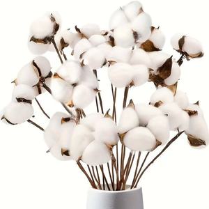 Tiges de fleurs en coton naturel, bouquet artificiel séché, décoration rustique pour la maison, style <span class=keywords><strong>Instagram</strong></span> - Product Image 3