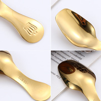 Ensemble de cuillères à dessert en acier inoxydable 304 avec poignée couronne, finition miroir, pour crème glacée, café, café, fête