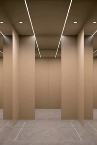 Plateforme élévatrice moderne pour villa de petite taille avec installation facile, construction en acier inoxydable, conception durable et sûre - Product Image 3
