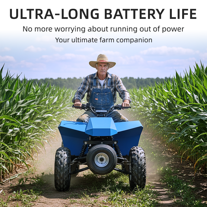 Adult Four wheel Drive Electric All