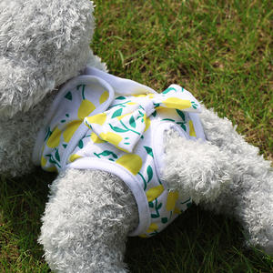 Pañales Reutilizables <span class=keywords><strong>para</strong></span> Perras, Pantalones Sanitarios <span class=keywords><strong>para</strong></span> Perras, Pañales <span class=keywords><strong>para</strong></span> la Menstruación de <span class=keywords><strong>Perros</strong></span>, Pantalones de Seguridad Fisiológicos <span class=keywords><strong>para</strong></span> Mascotas y Gatos - Product Image 4