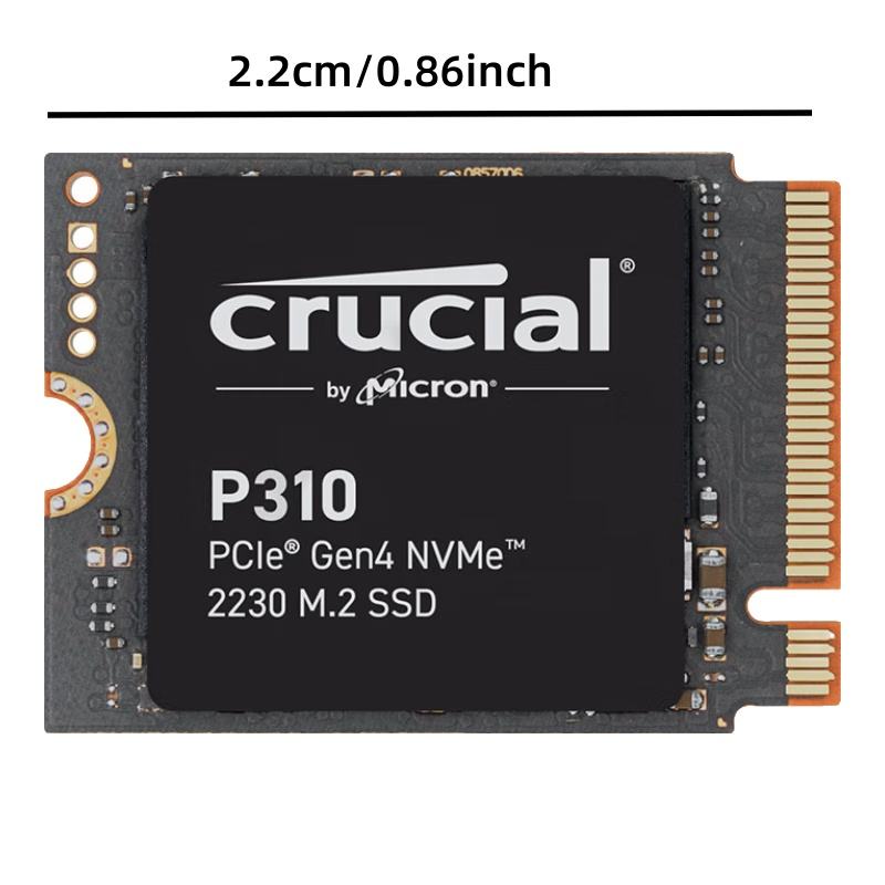 CT1000P310SSD2