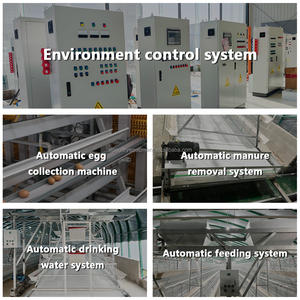 Galvanizli çelik Anti-pas a tipi katmanlar kafes 10000 tavuk tavuk çiftliği için otomatik tavuk kafesleri yumurta tabakası - Product Image 6