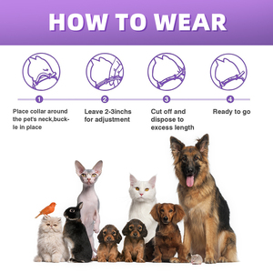 <span class=keywords><strong>Collier</strong></span> anti-puces et anti-tiques personnalisé avec rivets, protection de 8 mois, taille ajustable pour chiens et chats - Product Image 3