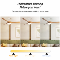 Ventilateur de plafond à hélice de haute qualité, minimaliste, avec lumière, 3 pales en métal, certifié CE, RoHS, EMC, ventilateur et lumière intégrés au plafond