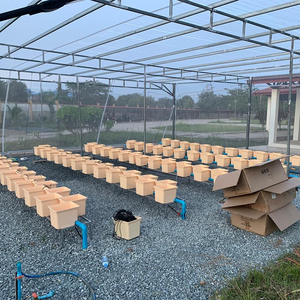 Secchio olandese all'ingrosso della fabbrica <span class=keywords><strong>Bato</strong></span> per il sistema di coltivazione idroponica - Product Image 3