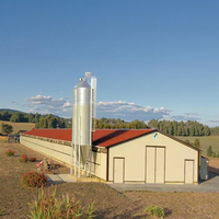Bâtiments d'élevage de poulets modernes à grande capacité, structures en acier galvanisé, économiques, préfabriqués et personnalisables