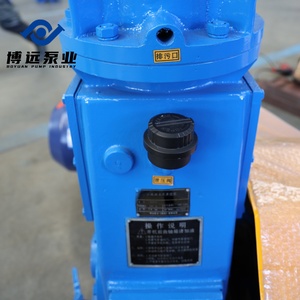 Bomba de pistón vertical recíproca industrial de acero inoxidable sin aceite BOYUAN serie WLW WLW-50 para productos químicos OEM - Product Image 5