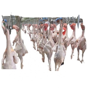 Máquina Comercial Automática de Acero para Desplumar Pollos y Patos, Motor de Sacrificio de Codornices Usado para Uso Agrícola - Product Image 5