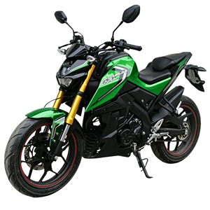 Motocicleta Todoterreno de 250cc, <span class=keywords><strong>Moto</strong></span> Urbana, Motocicleta de Carreras de 250cc, Motocicleta Deportiva con Motor Zonsen de 250cc - Product Image 2