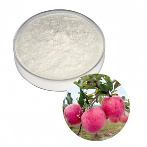 <span class=keywords><strong>Vinaigre</strong></span> de cidre <span class=keywords><strong>blanc</strong></span> en poudre de qualité alimentaire, fourni par l'usine - Product Image 1