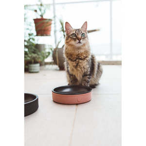 Plato doble de terracota para alimentar mascotas con base antideslizante para gatos y perros - Product Image 4
