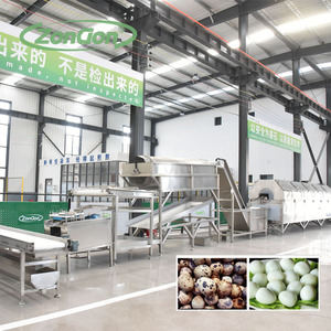 Máy sản xuất chế biến trứng cút - Product Image 2