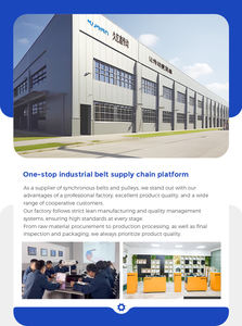 Puleggia di distribuzione POWGE HTD 3M 5M 8M 14M per l'industria delle macchine utensili - Product Image 5