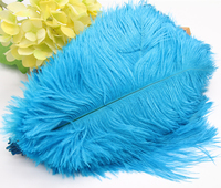 Plumes d'autruche teintées directement de l'usine, 25-30 cm, motif brut, décoratives, pour robes de carnaval, fêtes et mariages, personnalisables