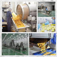 Machine entièrement automatique pour la fabrication de chips de pommes de terre et de frites surgelées - Friteuse industrielle électrique à chauffage profond pour la préparation des aliments