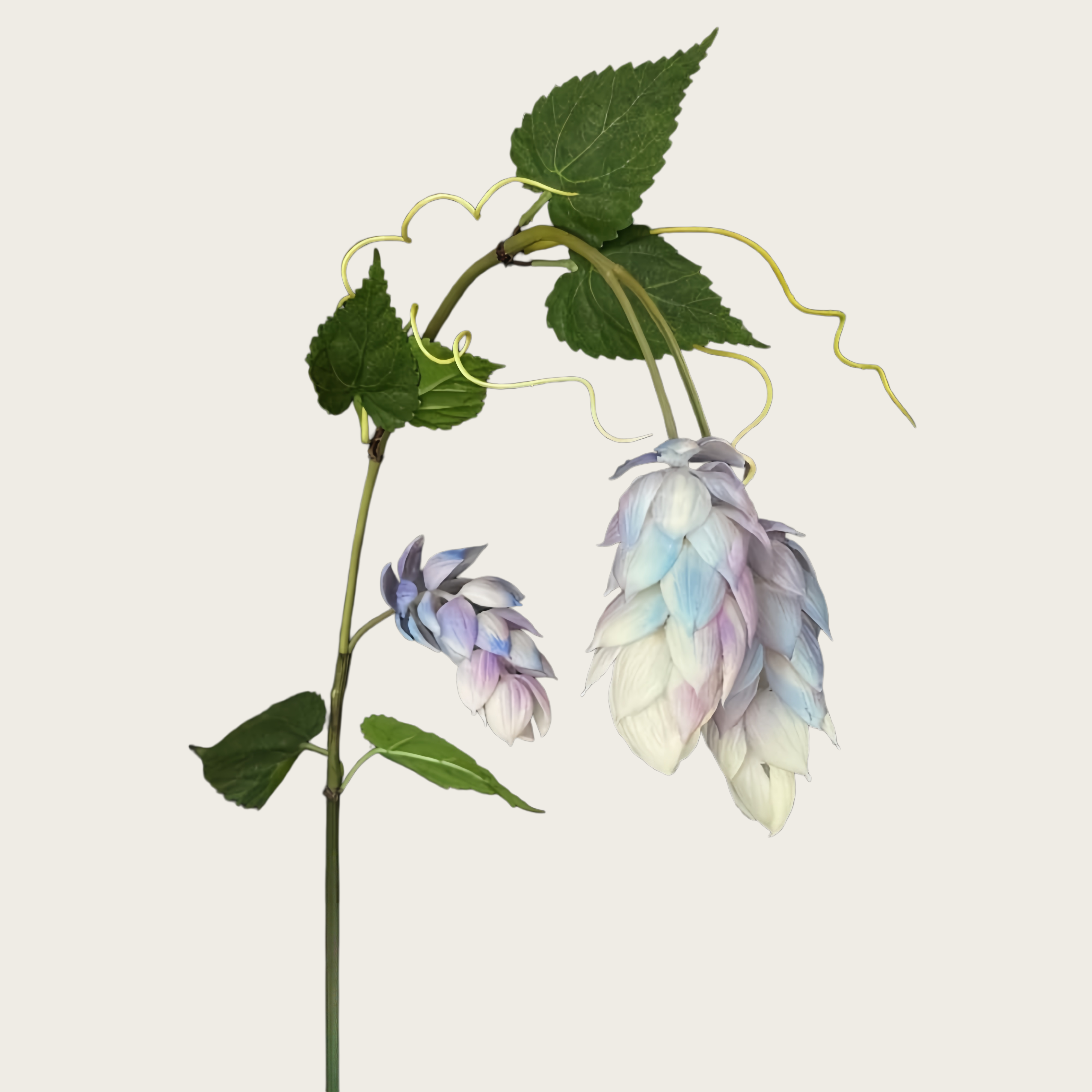 Houblon à 3 têtes en caoutchouc souple - Dégradé bleu-violet